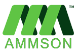 Ammson International Tech Solutions PVt Ltd